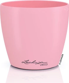 Lechuza Deco 14 magnolie
