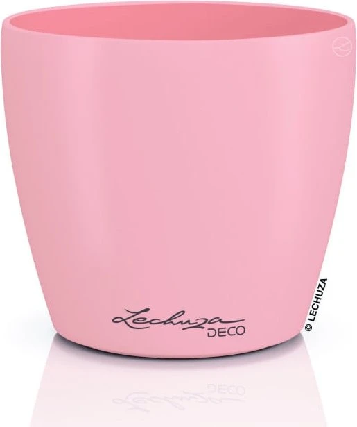 Lechuza Deco 14 magnolie