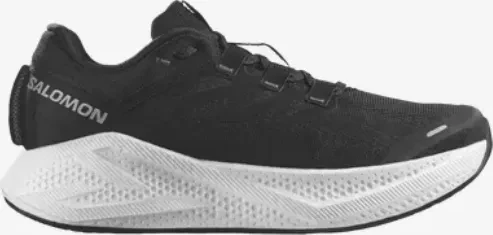 Salomon Aero Glide 3 black/white/asphalt (Herren)