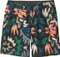 Patagonia Hydropeak 18" Badeshorts (Herren) Vorschaubild