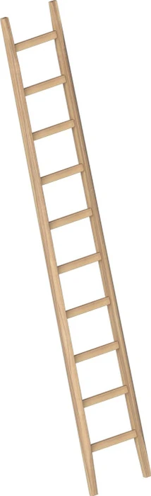 Layher Topic 1036 Holz Anlegeleiter, 10 Stufen