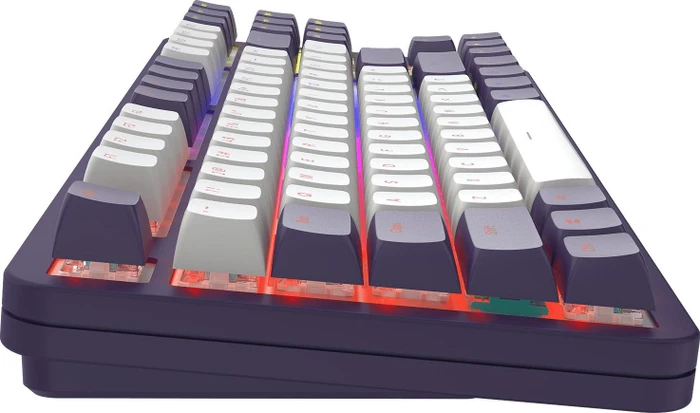 Dark Project ALU87A Violet Gaming Keyboard, weiß/violett, LEDs RGB, g3ms Sapphire, USB, US