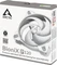 ARCTIC BioniX P120 PWM PST grau/weiß, 120mm Vorschaubild