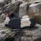 adidas Terrex AX4 Beta Cold.RDY core black/carbon/semi impact orange (Herren) Vorschaubild