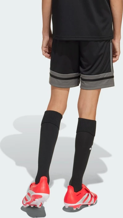 adidas Squadra 25 Trainingshose kurz black/team grey four/pure ruby (Junior)