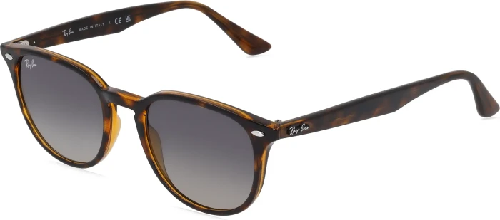 Ray-Ban RB4259