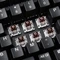 Perixx Periboard-522 Large Trackball Mechanical Trackball Keyboard schwarz, Kailh BROWN, USB, US Vorschaubild