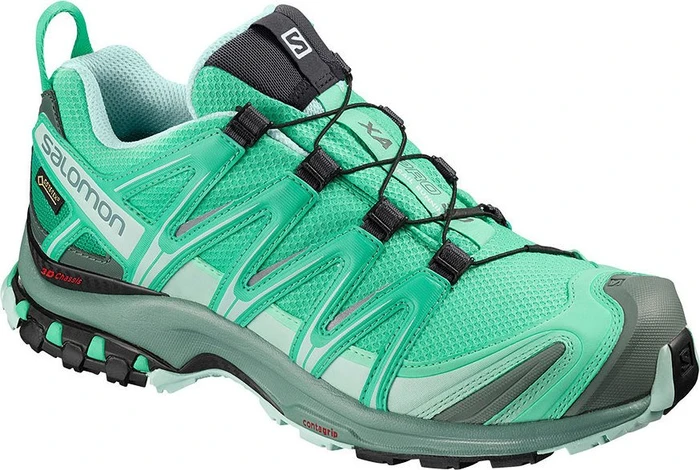 Salomon XA Pro 3D GTX (Damen)