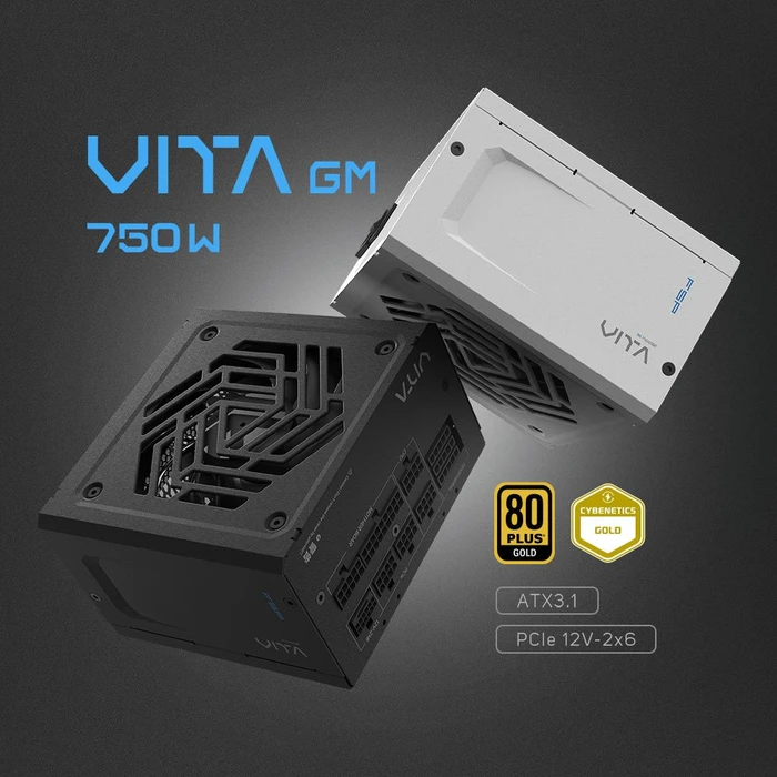 FSP VITA GM 750W, ATX 3.1