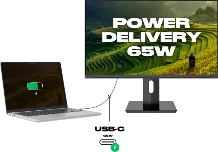 JapanNext JN-IPS2380UHDR-C65W-HSP, 23.8"