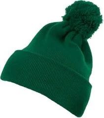 Flexfit YP Classics Cuffed Pom Pom Knit Beanie spruce