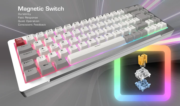 Raijintek MGA-68 Magnetic Switch Keyboard, schwarz, LEDs RGB, Hejin Magnetic Yellow, USB, DE