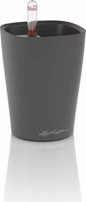 Lechuza Mini-Deltini Blumentopf