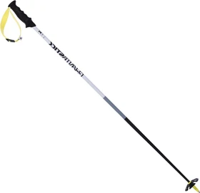 Völkl Phantastick Carbon Alpin Skistock weiß (Modell 2017/2018)