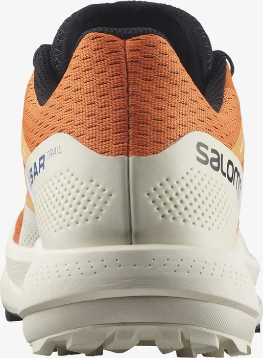 Salomon Pulsar Trail vibrant orange/vanilla ice/black (Herren)