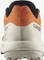 Salomon Pulsar Trail vibrant orange/vanilla ice/black (Herren) Vorschaubild