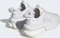 adidas Alphaboost V1 Sustainable Boost cloud white/core white/chalk white Vorschaubild