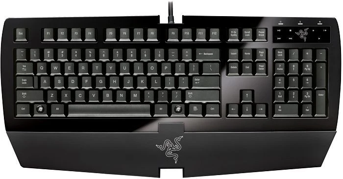 Razer Arctosa silber, USB, DE