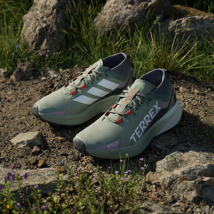 adidas Terrex Agravic GTX Trail silver green/cloud white/preloved fig (Damen)
