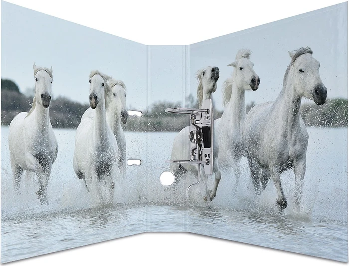 Herma Ordner 2-Ring mit Motiv, 70mm, A4, Animals Pferde (7164) – Bild 3 von 3