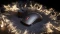 SteelSeries Sensei Pro 8K Ultra Wideband Wireless, schwarz, USB Vorschaubild