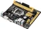ASUS H81M-P (Intel 1150) Vorschaubild