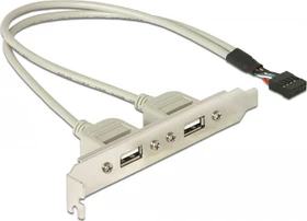 DeLOCK Slotblende, 2x USB-A 2.0