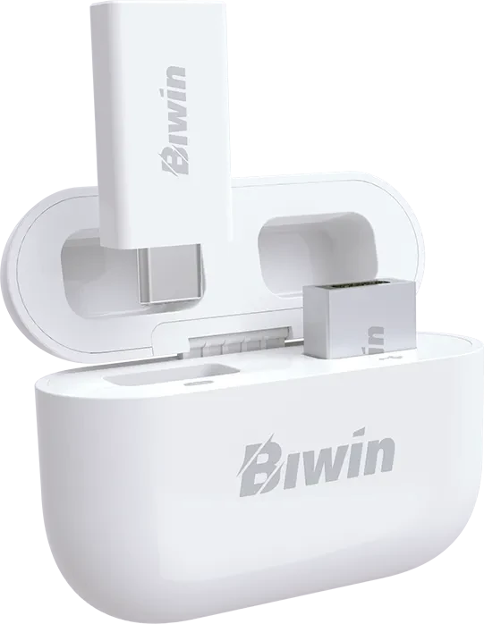 Biwin UD400 256GB, USB-C, USB 3.2 Gen 1×1