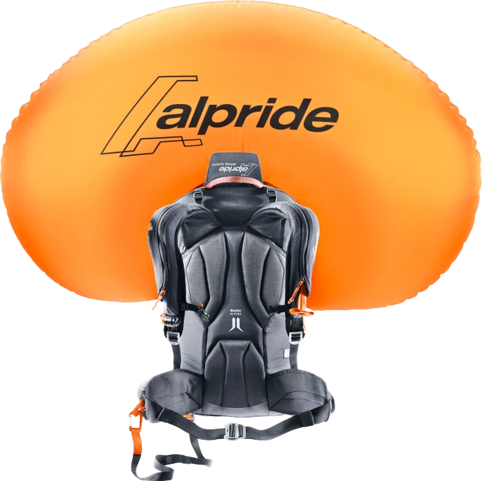Deuter Alproof 30 SL redwood/black