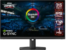 MSI Optix MAG321QR-QD, 31.5"