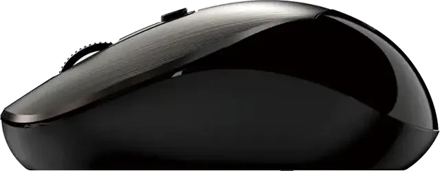 Genius NX-7125 Copilot Wireless Optical Mouse braun/schwarz, USB