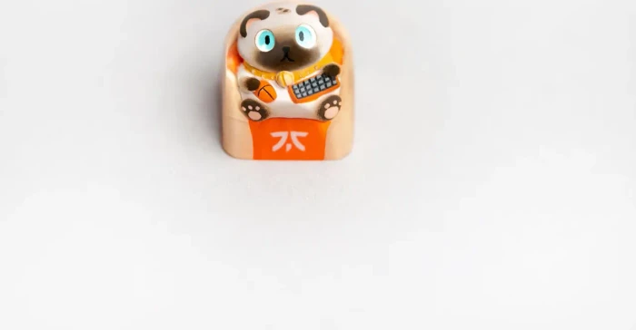 Fnatic Artisan Keycap Loeya Kunstharz