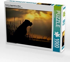 Calvendo Hund im Gegenlicht am Meer