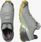 Salomon Speedcross 5 GTX wrought iron/spray/antique moss (Damen) Vorschaubild