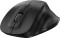 Genius Ergo 8230S Easy Ergonomic Wireless Silent Mouse schwarz, USB Vorschaubild
