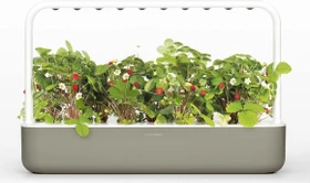 Click & Grow Smart Garden 9 Indoor beige