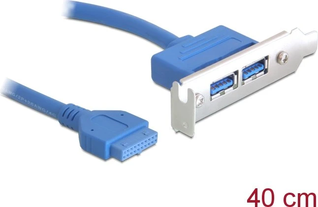 DeLOCK Slotblende, 2x USB-A 3.0