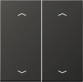 Jung Wippe 2fach, F10, mit Pfeilsymbolen, Aluminium lackiert, Serie LS, anthrazit