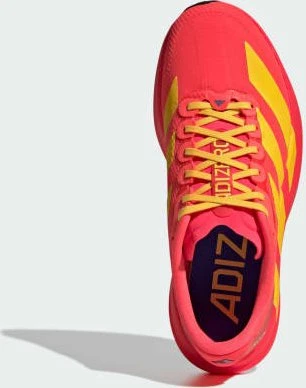 adidas Adizero Evo SL Woven lucid red/bold gold/semi lucid blue (Herren)