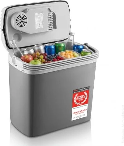 TZS First Austria 20L Thermoelektro-Kühlbox grau