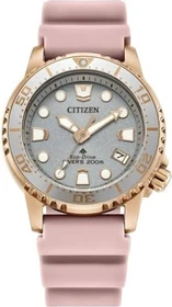 Citizen EO2023-00A