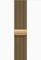 Apple Watch Series 12 (GPS + Cellular) 46mm Titan brillantgold mit Milanaise-Armband M/L brillantgold Vorschaubild