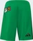 adidas Jamaika 26 x Bob Marley 2026 Heimausrüstung (Junior) Vorschaubild