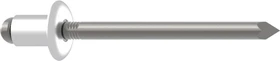 Gesipa A2 Edelstahl Flachrundkopf Blindniete 4.8x20mm, 250 Stück