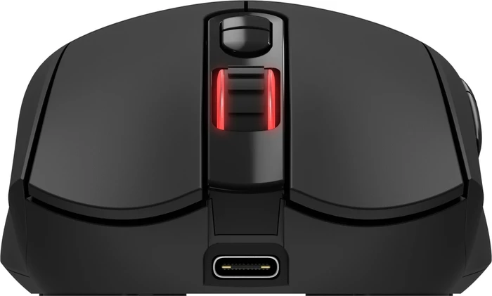 Rapture Cobra Wireless Gaming Maus schwarz, USB