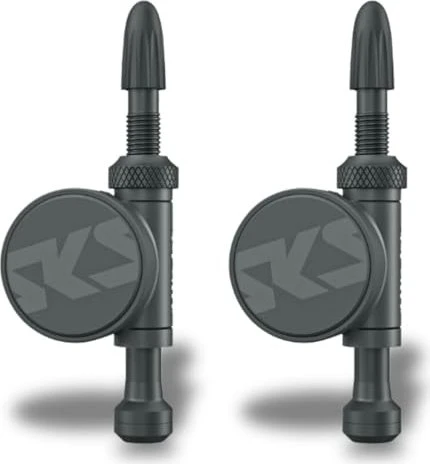SKS Airspy Reifendrucksensor