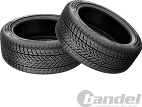 Dunlop Winter 205/55 R16 91H