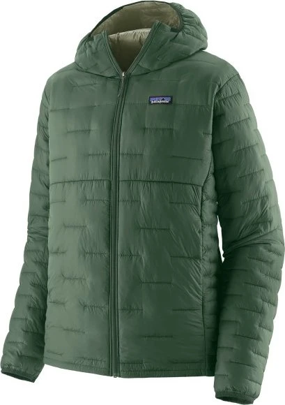 Patagonia Micro Puff Hoody Funktionsjacke canopy green (Herren)