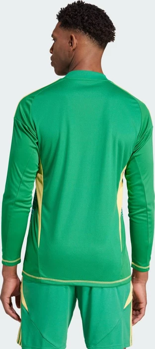 adidas Tiro 24 Competition Long Sleeve Torwart Trikot kurzarm team green (Herren)