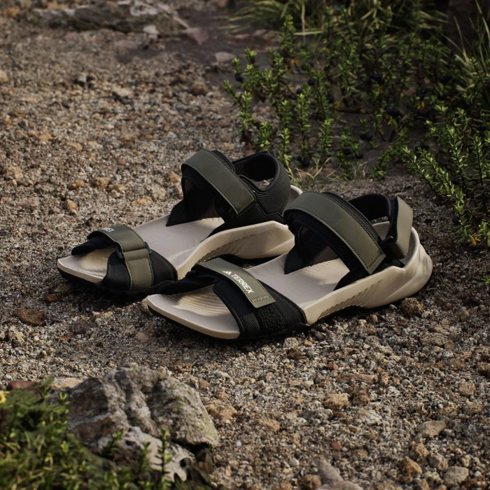 adidas Terrex Hydroterra olive strata/core black/wonder beige